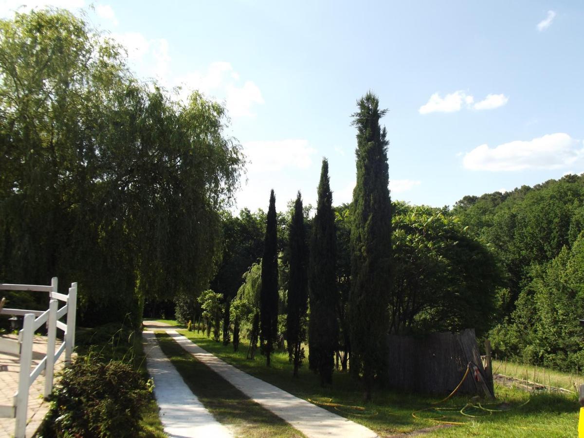 Les Rocailles De La Reine Bed & Breakfast Lamonzie-Montastruc Dış mekan fotoğraf